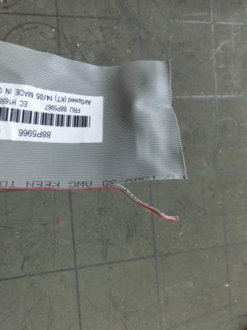 CIMG9408.JPG