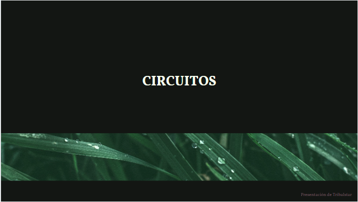 CIRCUITOS.PNG