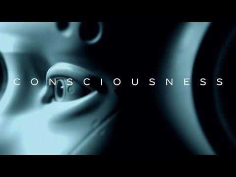 CONSCIOUSNESS (Art Film)