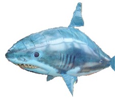 COVER sz shark alone.jpg