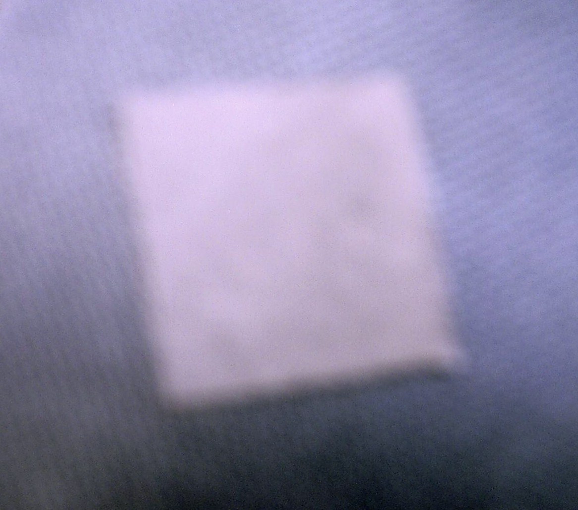 CRIM0032.JPG