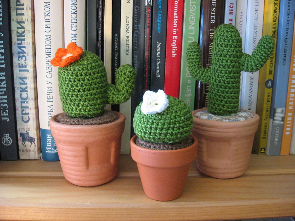 Cactus_08.jpg