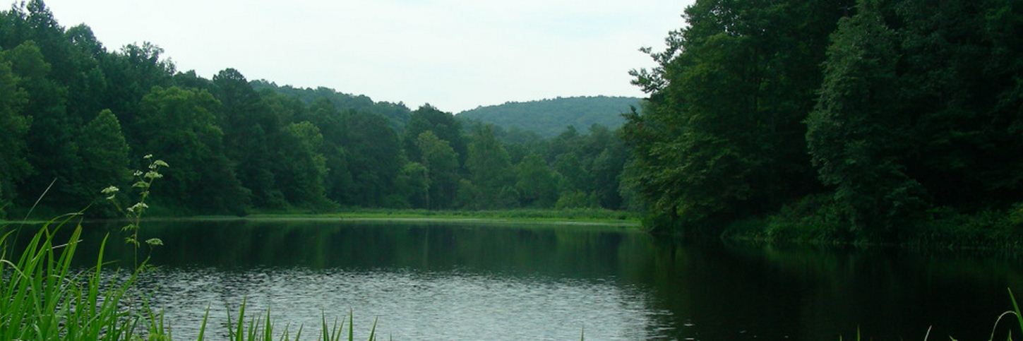 Camp Lake.JPG