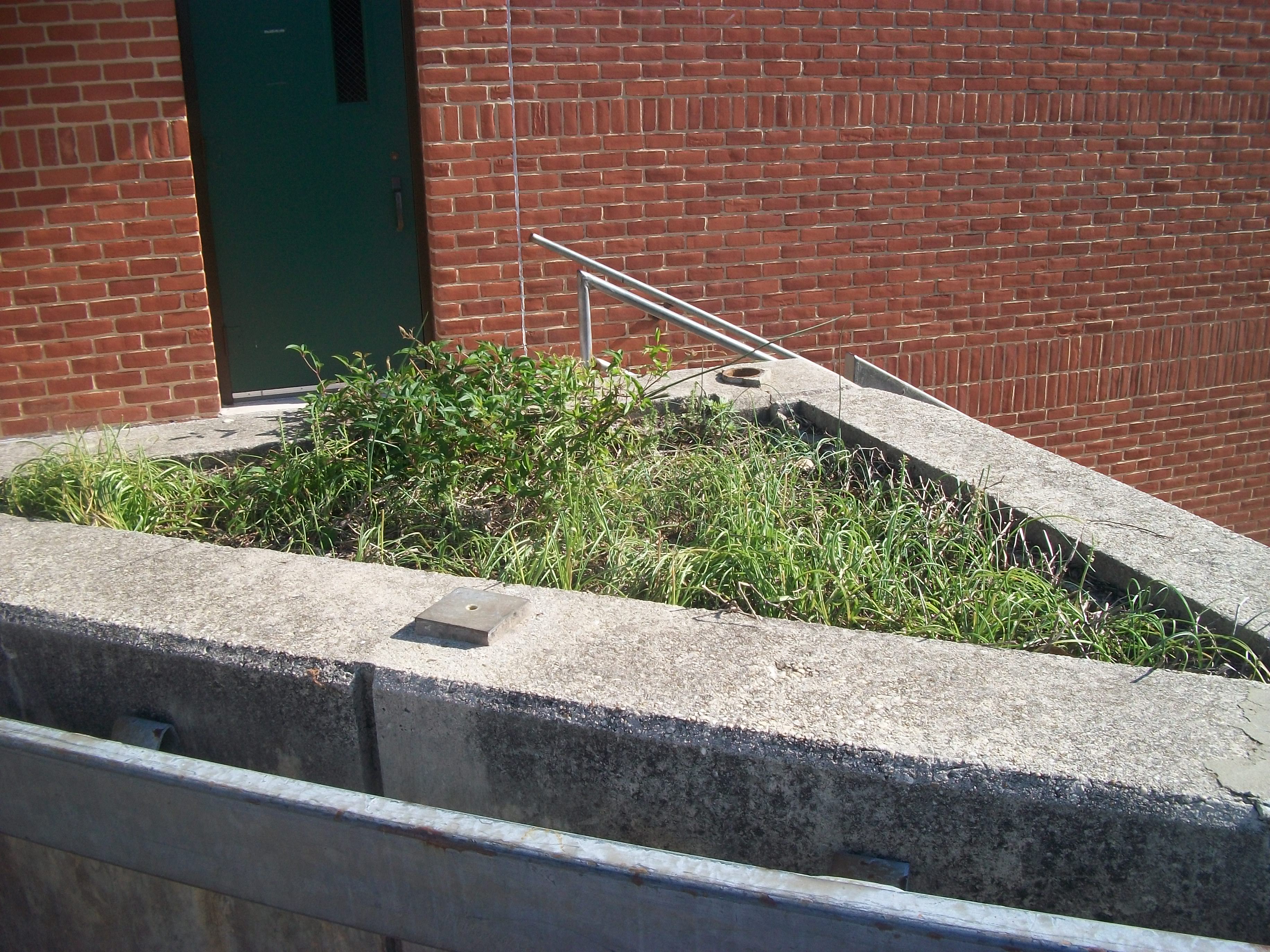 Campus Beautification 2011 002.jpg