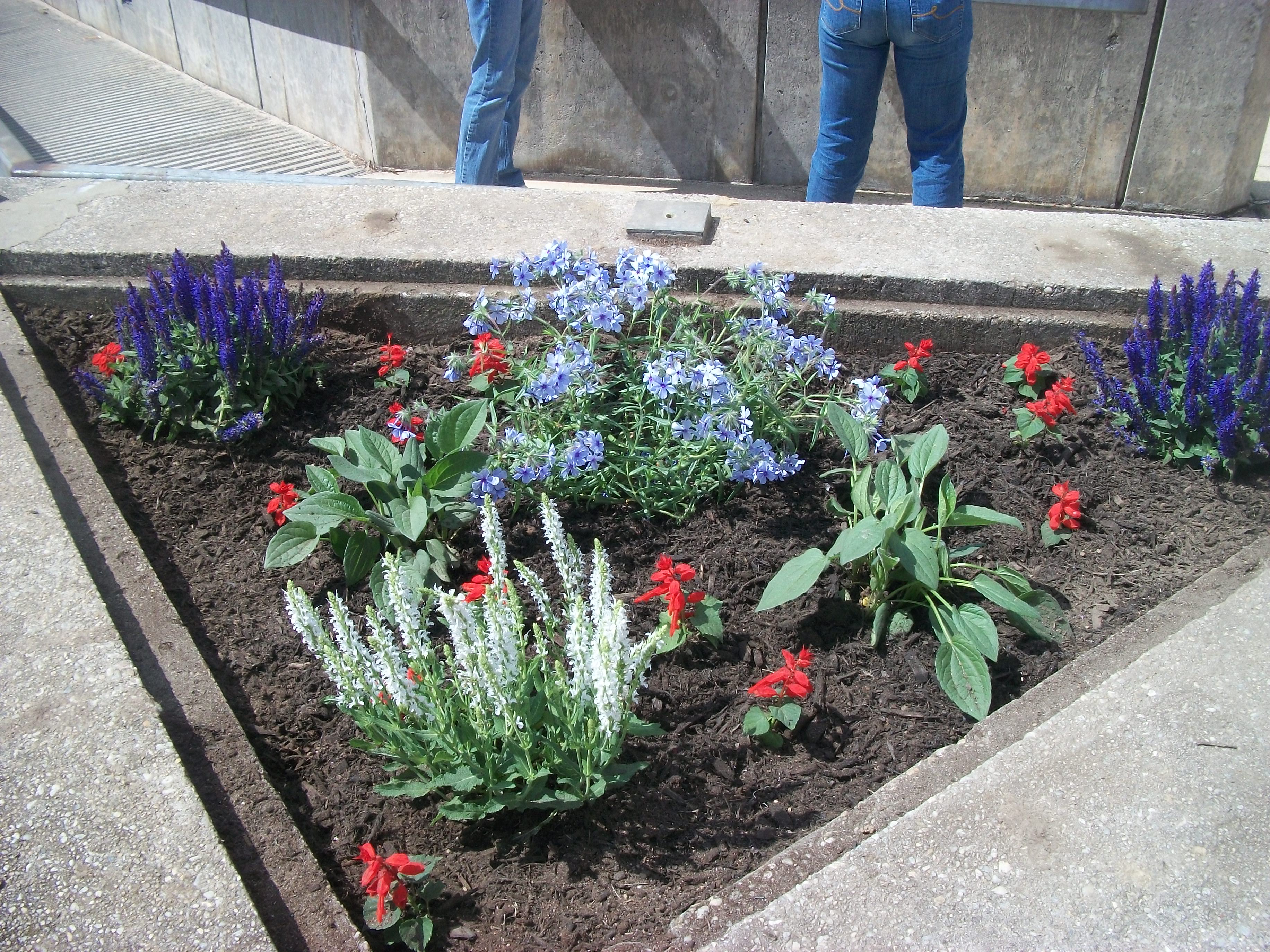 Campus Beautification 2011 017.jpg