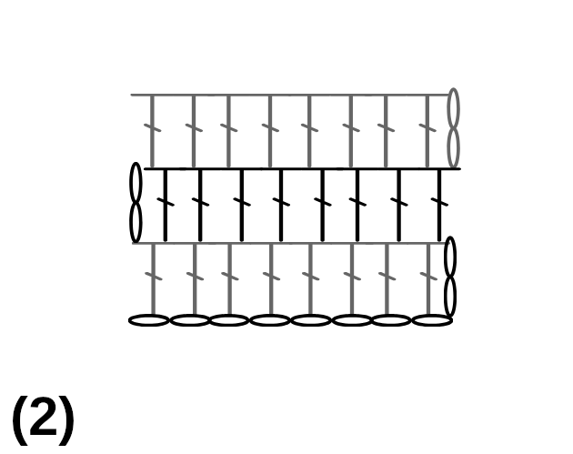 Captura de ecr&atilde; de 2024-11-04 12-24-11.png