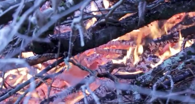 Capture d&rsquo;&eacute;cran 2016-07-01 &agrave; 11.02.32.png