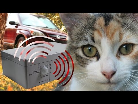 Car anti-sleeping cat lounge device (Arduino project)