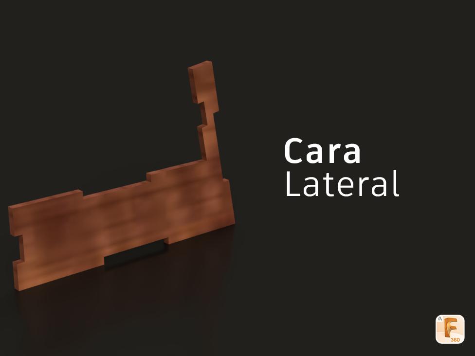 Cara Laterall i.jpg