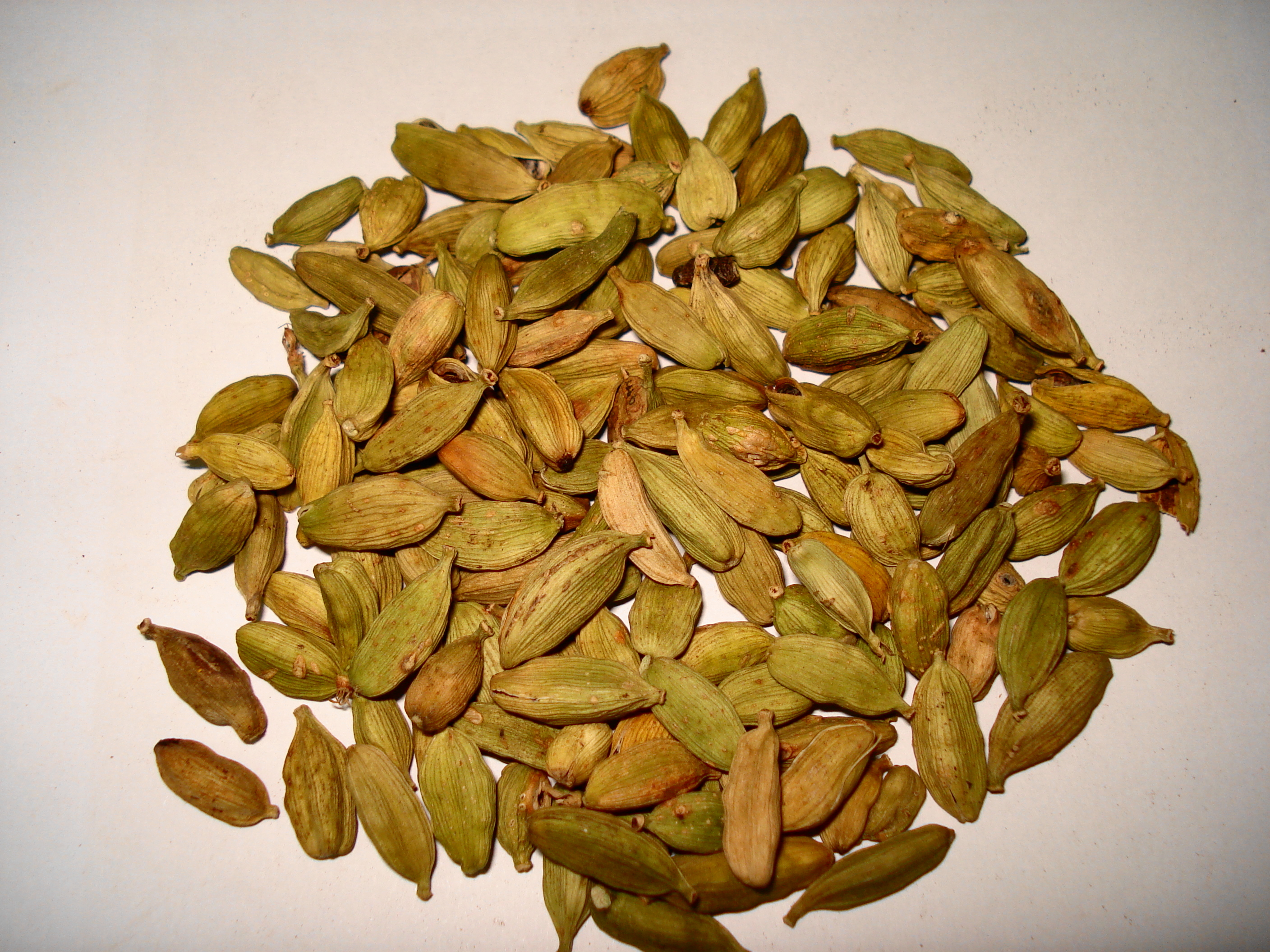 Cardamom_small[1].JPG