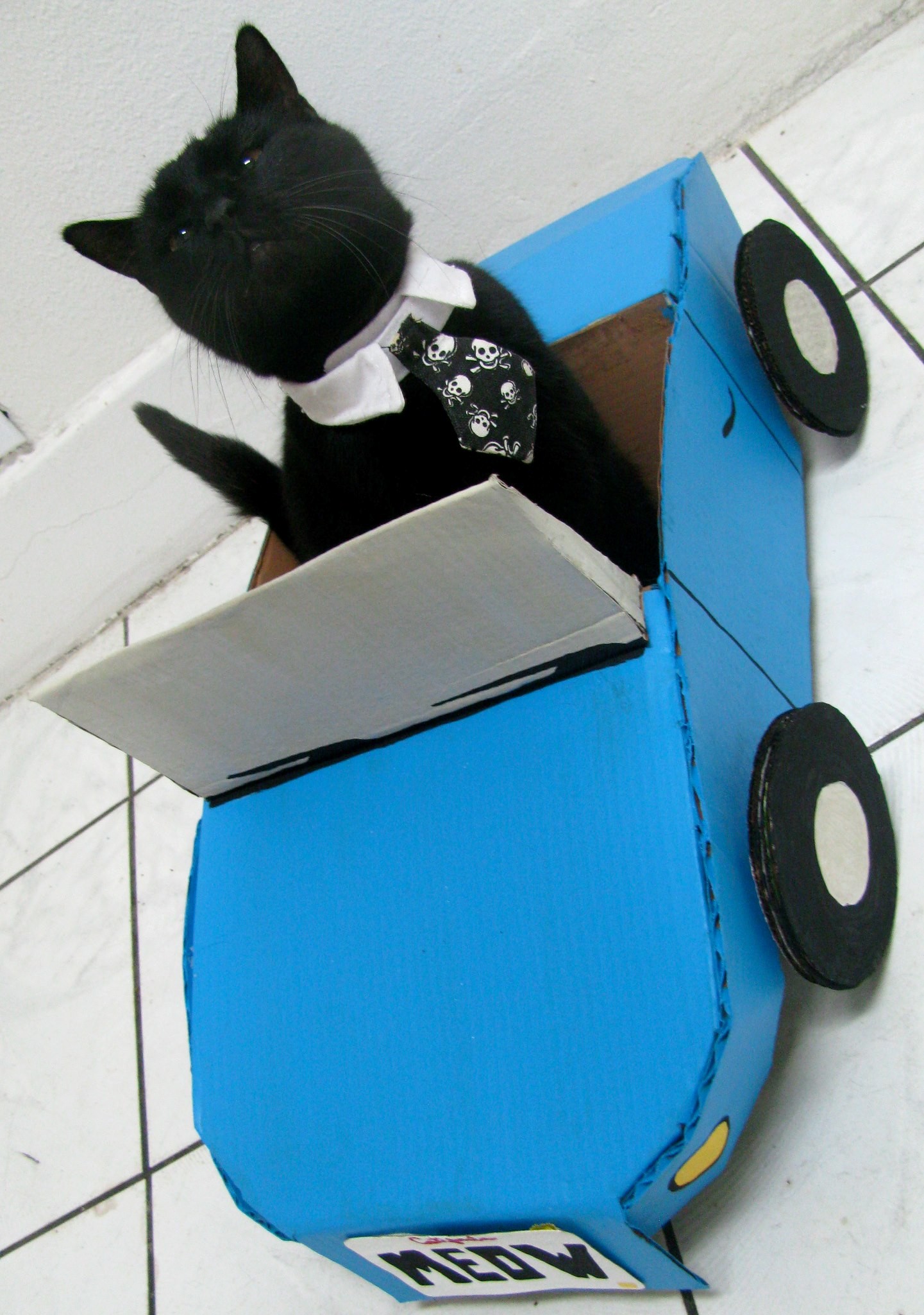 Cardboard Kitty Convertible.jpg