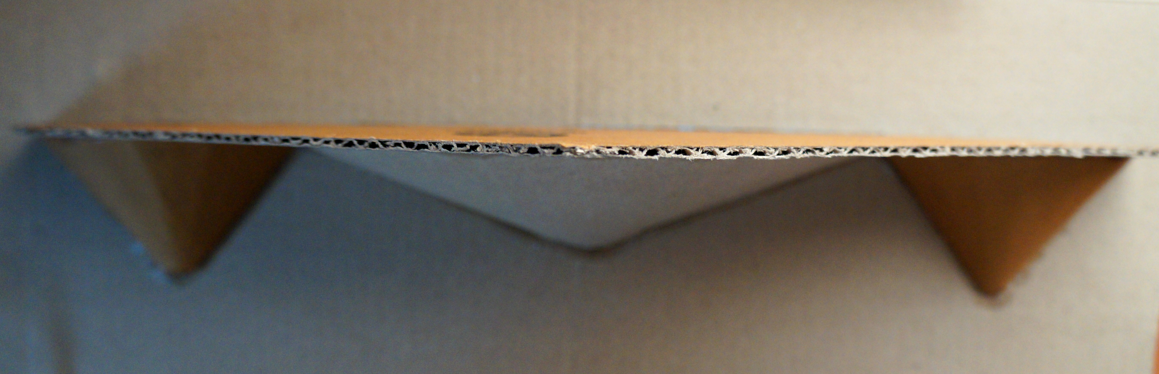 Cardboard Shelf Complete Top View.jpg