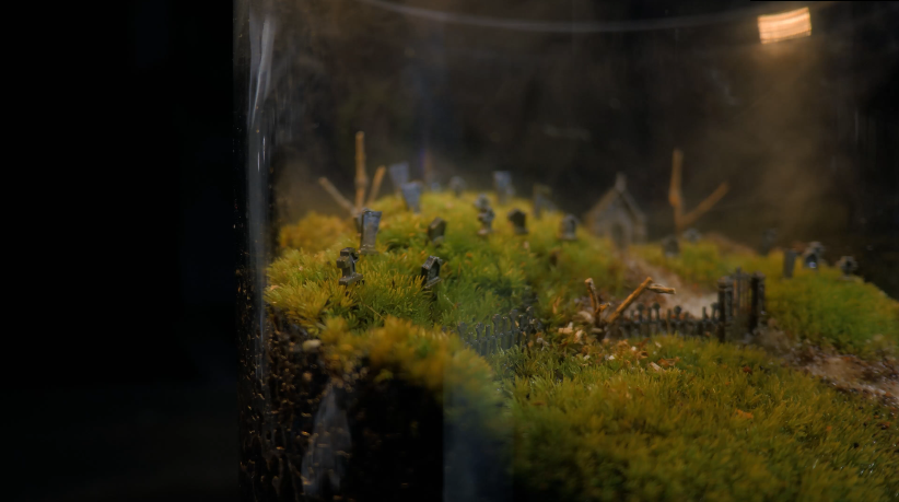 Caring For A Moss Terrarium.PNG