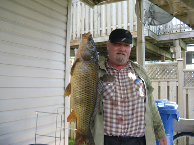 Carp Gefilte Fish 0b.jpg