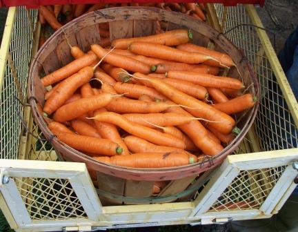 Carrots2.jpg