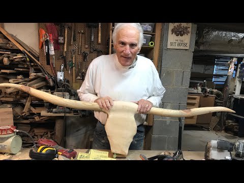 Carving A Texas longhorn skull: Part 1