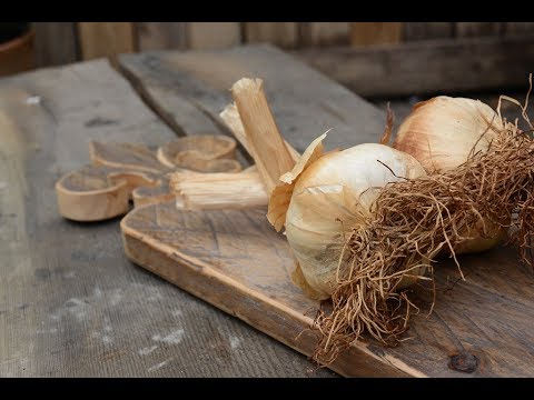 Carving a Garlic Holder.....