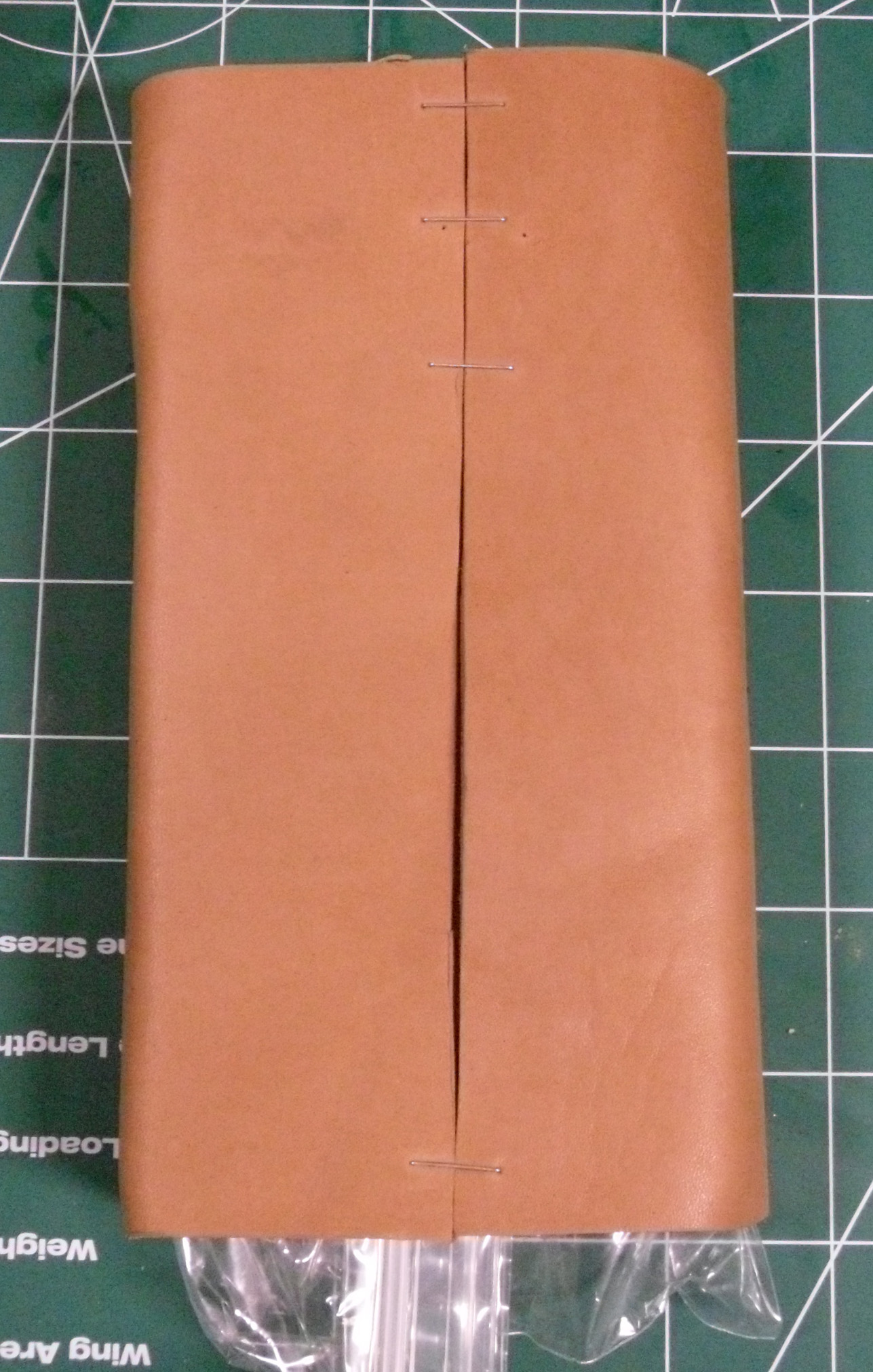 Casing the Case Leather.jpg