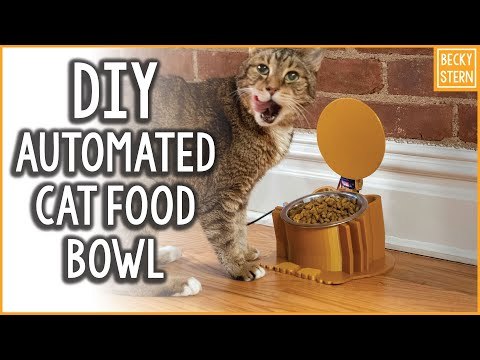 Cat Food Bowl Access Control with ESP8266 // Becky Stern