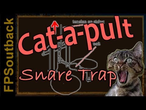 Cat-a-pult Spring Snare Trap