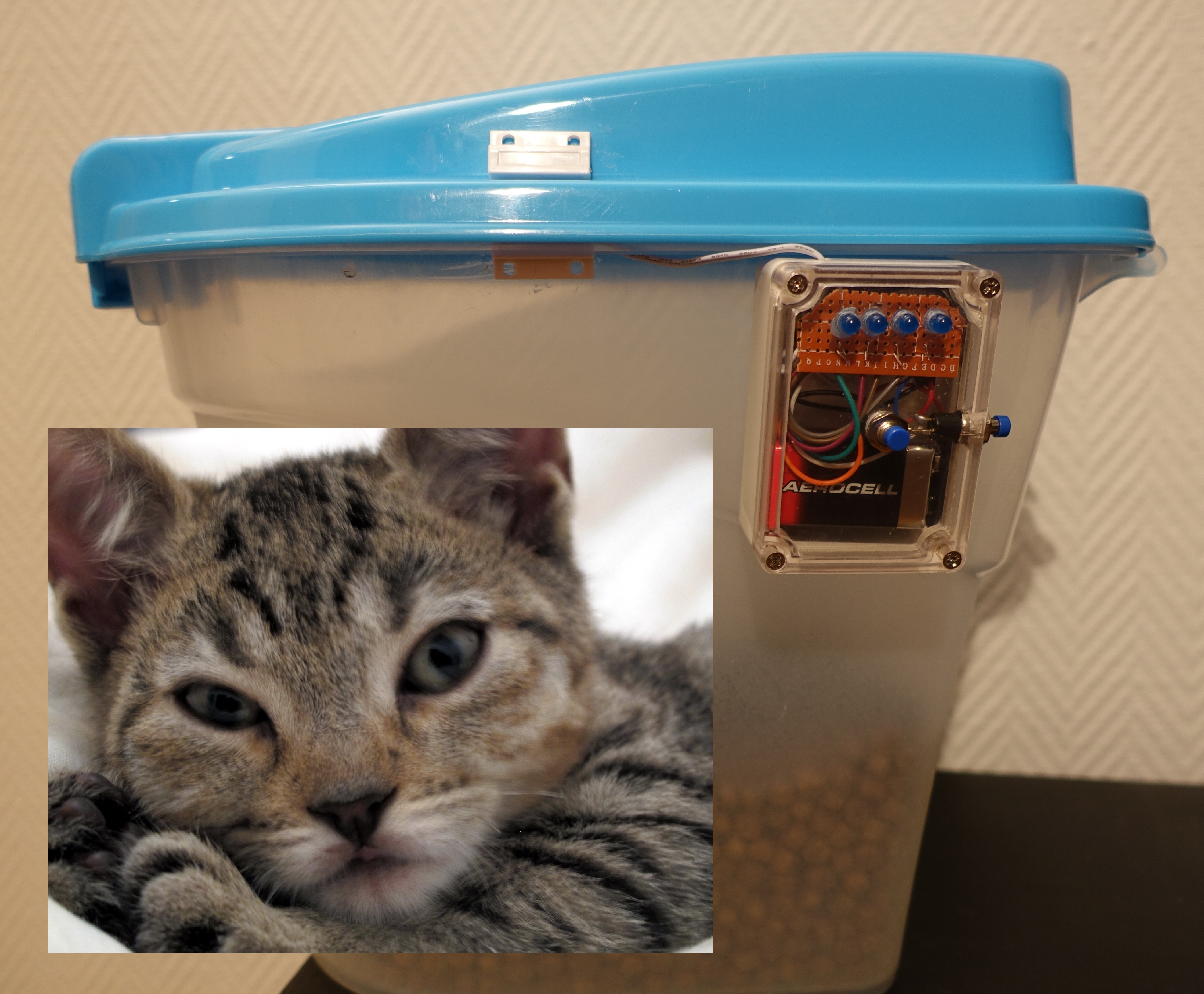 CatFeedCounterMain.jpg