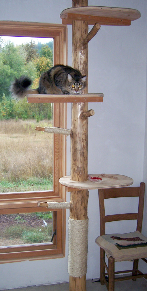 CatTree.jpg