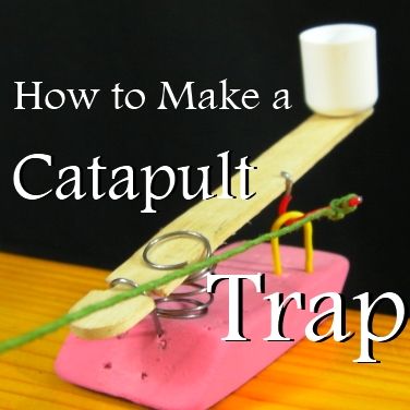 Catapult Trap Image Instructables Flat.jpg