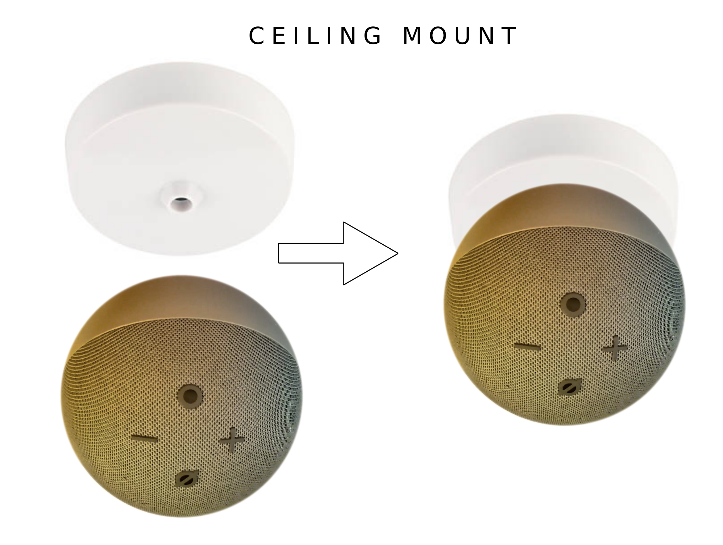Ceiling Mount 1.png