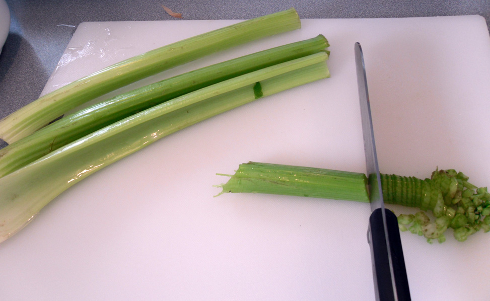 Celery Knife Practice.jpg