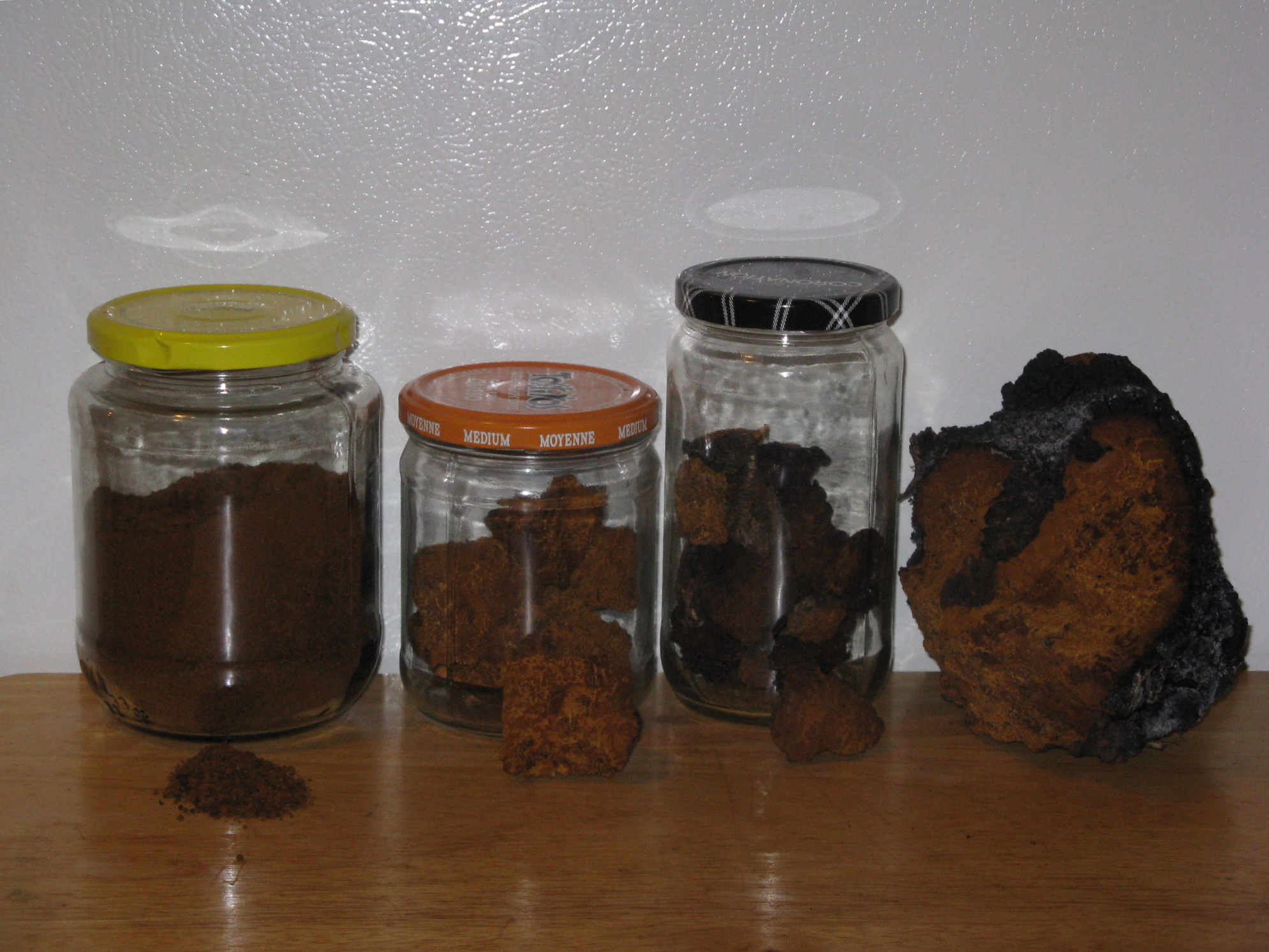 Chaga 10b.JPG