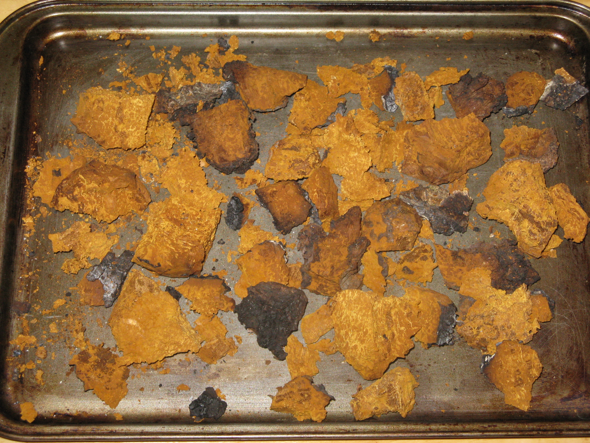 Chaga 5b.JPG