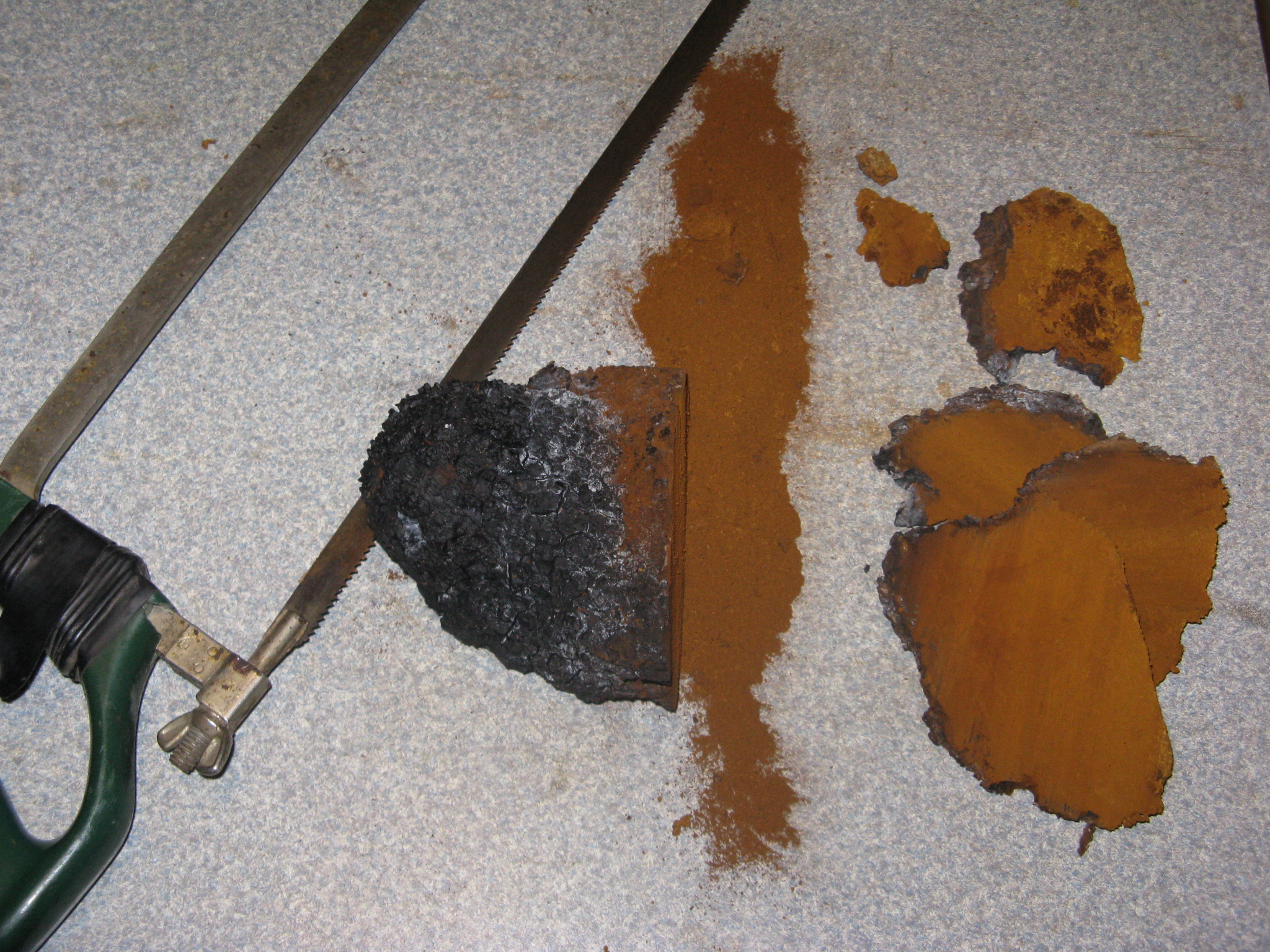 Chaga 6c.JPG