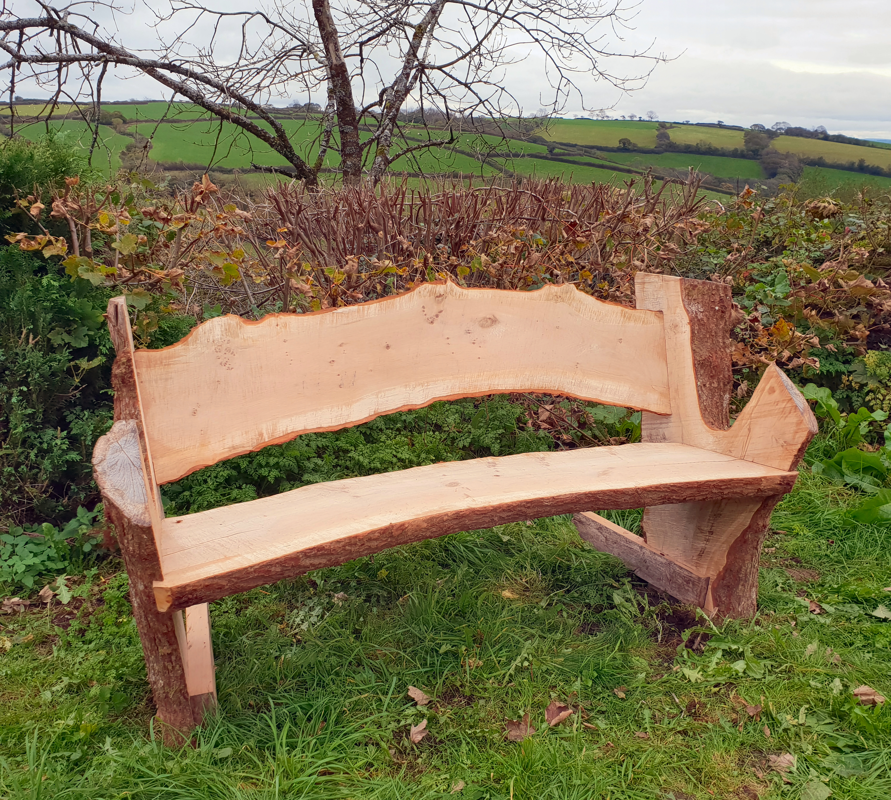 Chainsaw milled bench making.jpg