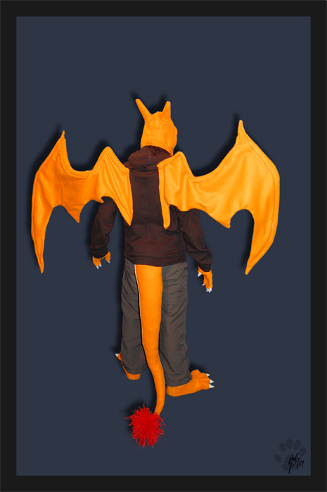 Charizard Costume 02.jpg