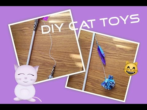 Cheap DIY Cat Toys