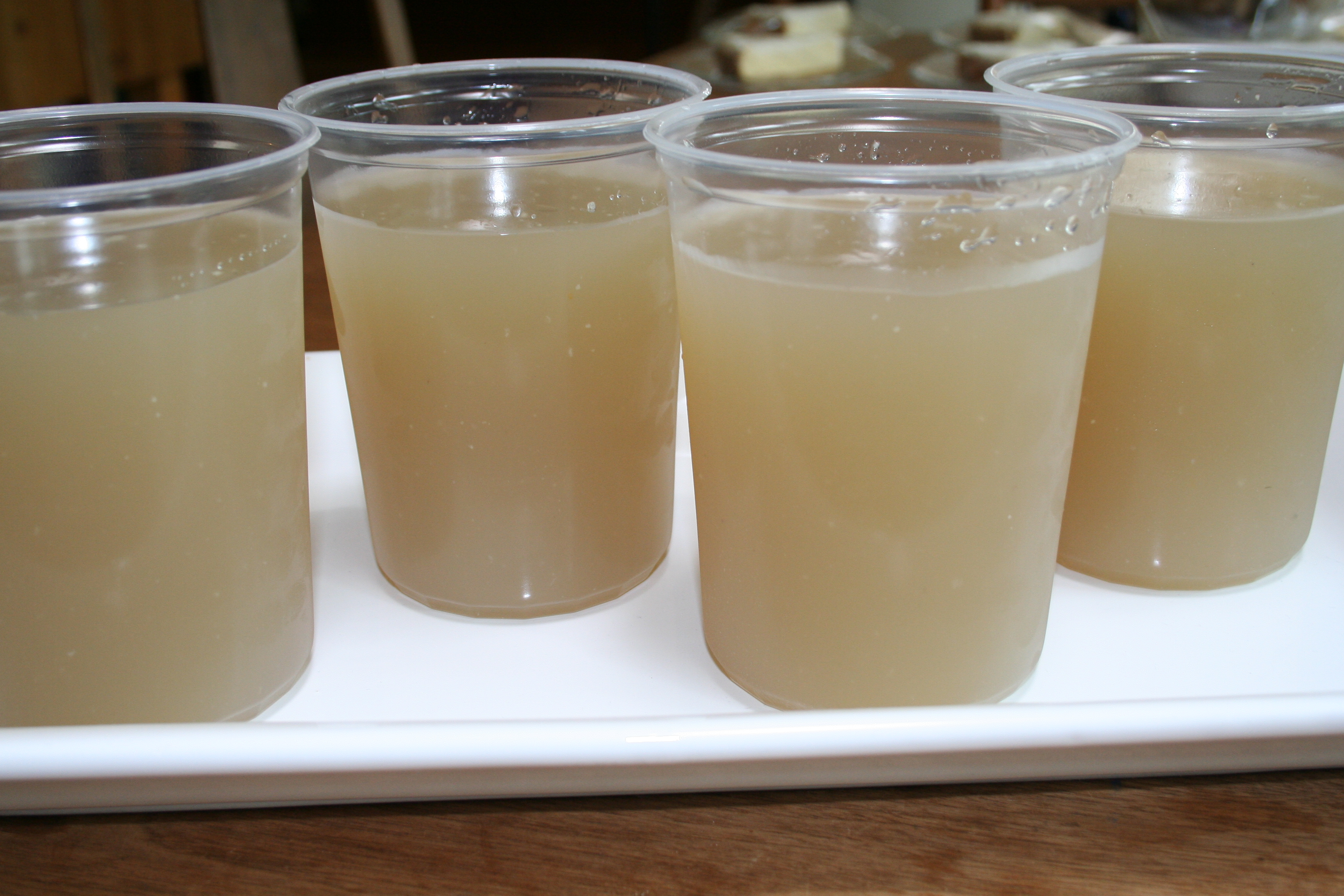 Chicken Stock 7-22-2012 2-26-01 AM.JPG