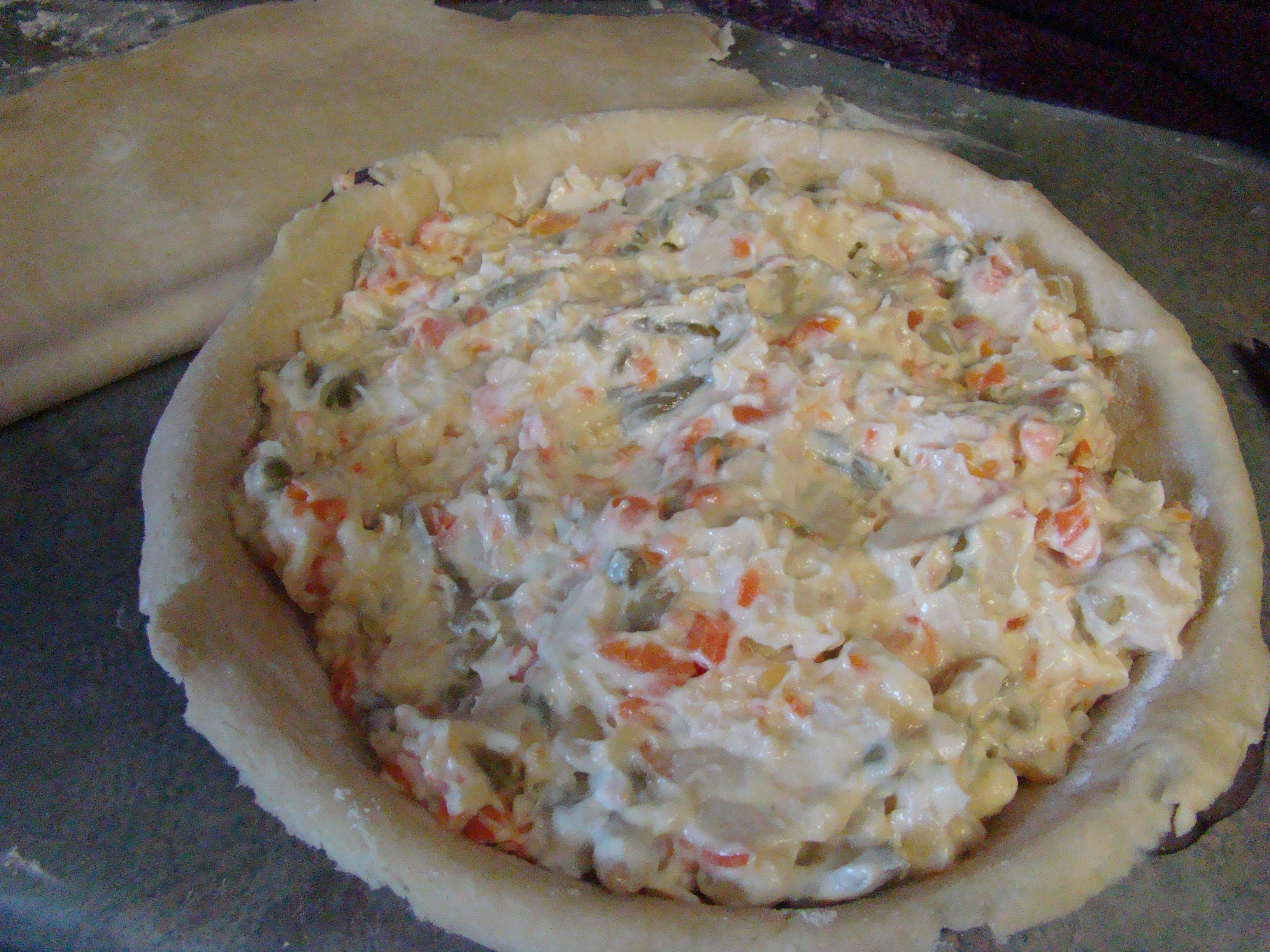 Chicken filling in crust.JPG