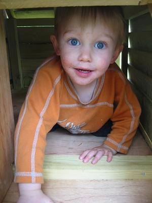 Chicken-Coop-Laying-Box.jpg