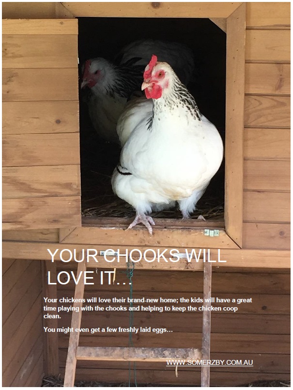 Chickens_move_into_the_new_Chicken_Coop.jpg