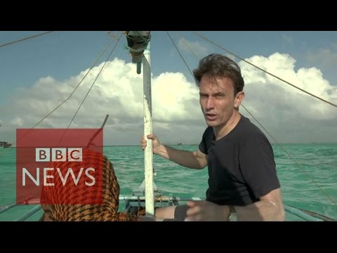 Chinese poachers destroying coral reefs - BBC News