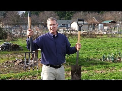 Choosing the Right Garden Tools for Your Vegetable Garden