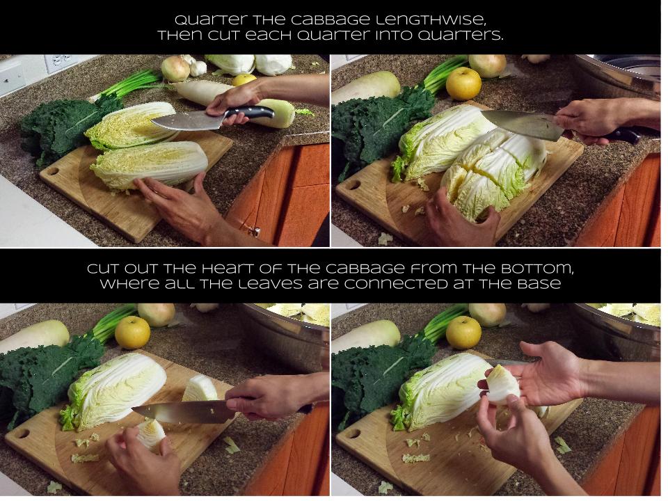 Chopping cabbage.jpg