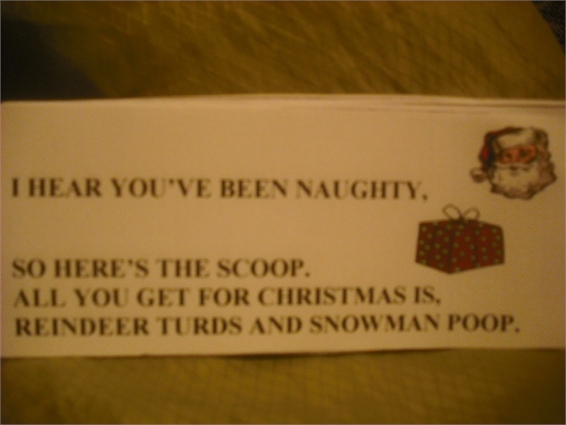 Christmas Poop 004.jpg