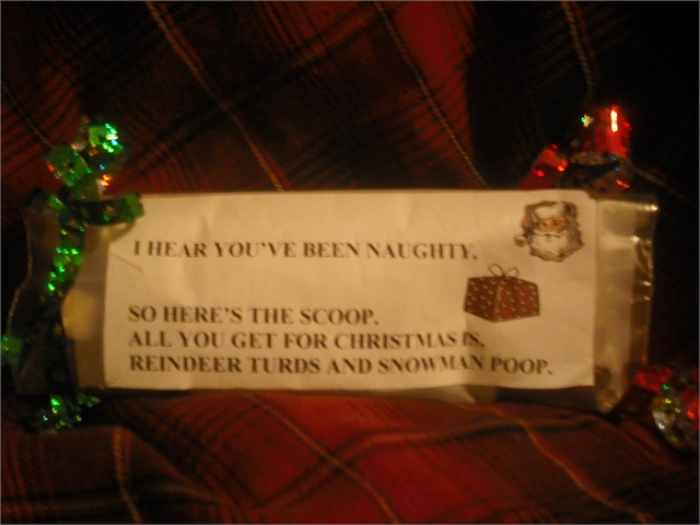 Christmas Poop 007.jpg