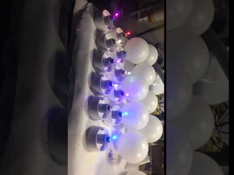 Christmas lantern 10-1