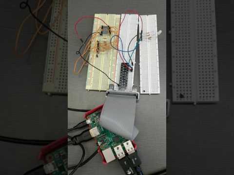 Circuit Demo