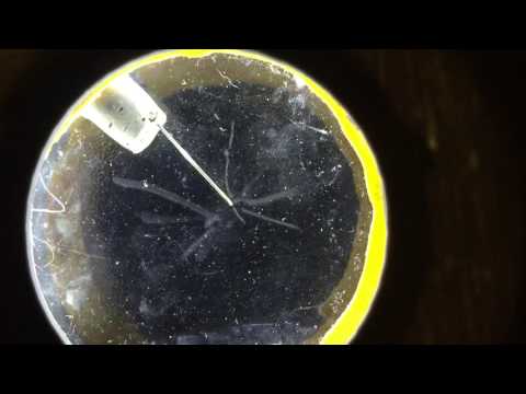 Cloud Chamber Tracks