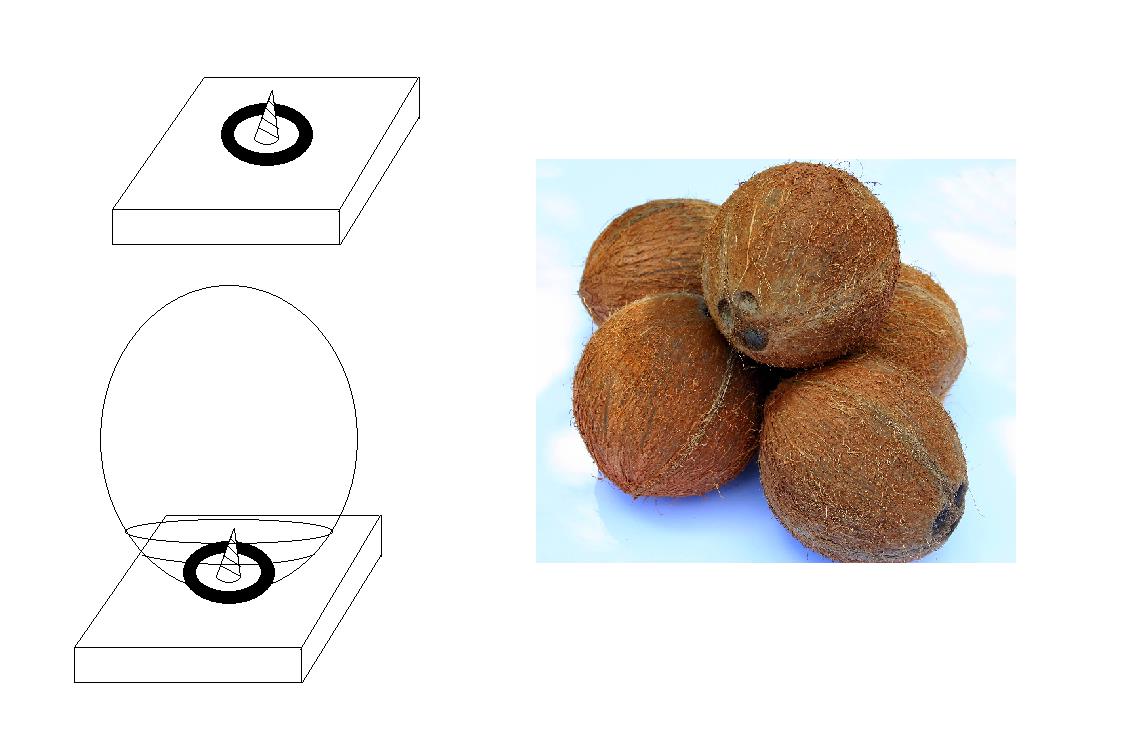 Coconut to base diagram.jpg