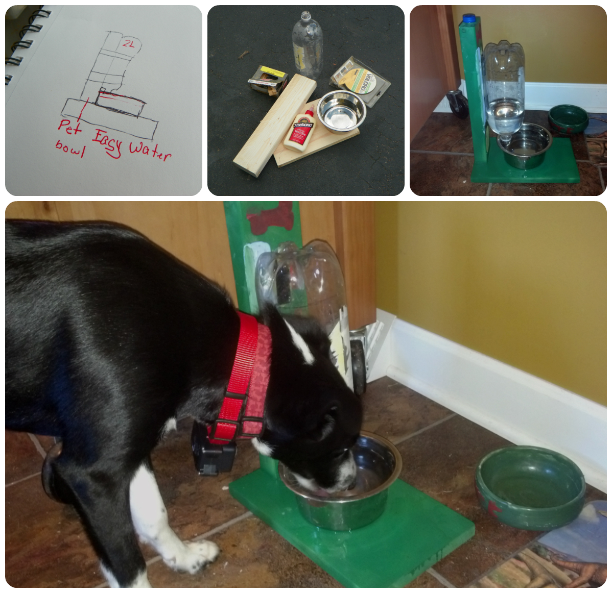 Collage - Skyler's Water Bowl Project.jpg