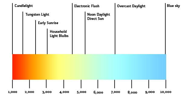 Color Chart.jpg